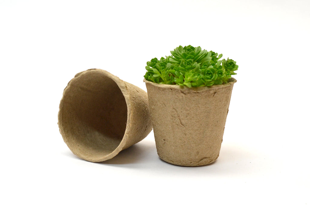 Nursery Pots, Seed Starter Pots, Seedling Nursery Pots Cup, Zero Waste, Biodegradable Garden Supplies - OakPo Paper Co.